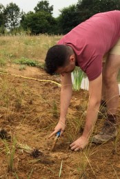 volunteer-planting-grasses2-img_4414-1