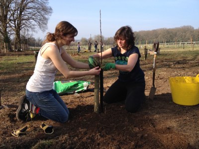 orchard-planting-img_0272