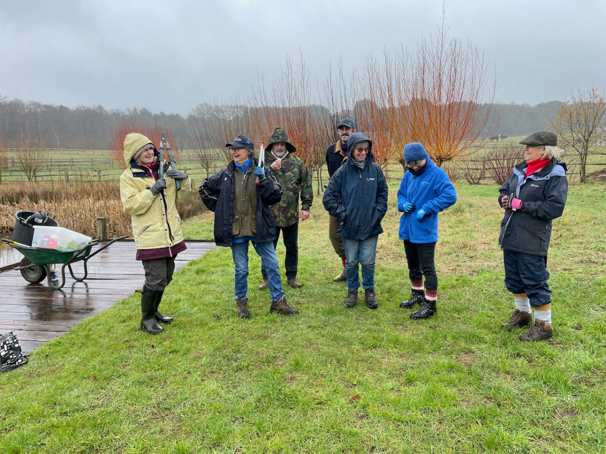 Willow Cutting Day 20th February 2025