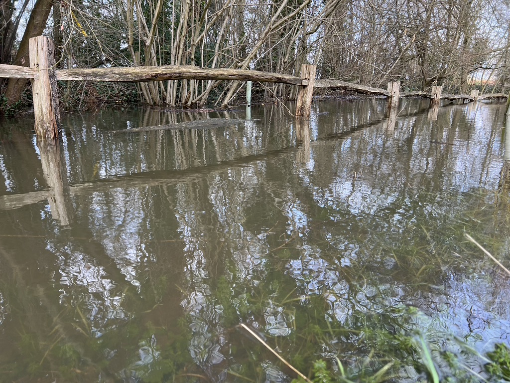 Fence disappearing in flood water